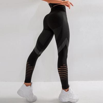 China Breathable Sports Jogging Super Stretch Yoga Pants Seamless High-waist Mesh Women Leggings for sale