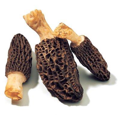 China Dry Dry Nightshade Mushroom Price for sale