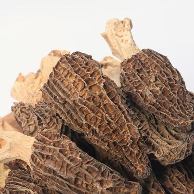 China Wholesale Price Healthy Top Grade Edible Dry Wild Yellow Nightshade Mushroom for sale