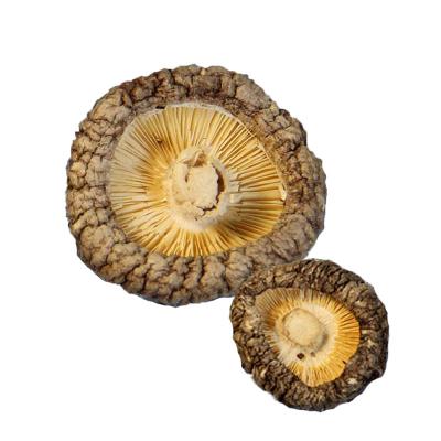 China Good Tasted Wild Shiitake Dried Spread Organic Dried Mushrooms for sale