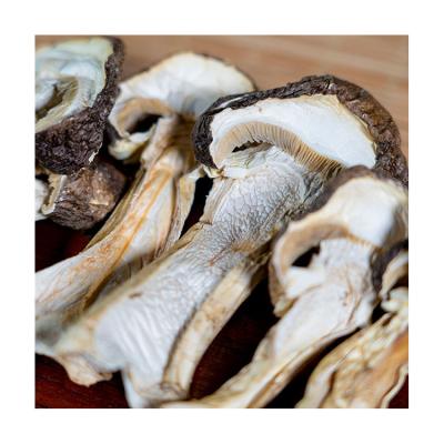 China Good Price Good Quality Dry Tricholoma Matsutake Dry Shelf Life 18 Months Process Ad For Sale for sale