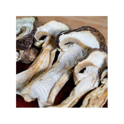 China Factory Price Dried Hot Selling Cultivated Fresh Dried Place Storage Matsutake Mushroom For Food for sale