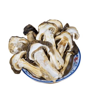 China High Quality Dry Hot Selling Product Shelf Life 18 Months Tricholoma Dry Matsutake Drying Process Ad for sale