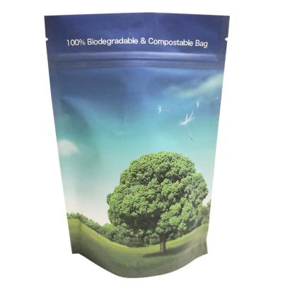 China 2021 Latest Arrival Moisture Proof Custom Printed Compostable Biodegradable Kraft Paper Pouch Bags for sale