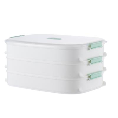 China Viable Hot Sale Plastic Kitchen Refrigerator Food Storage Dumpling Storage Box for sale