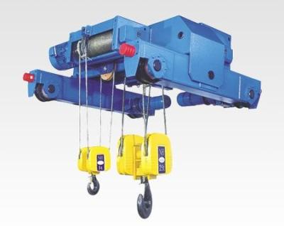 China High quality 10t NH electric hoist -Low headroom hoists for sale