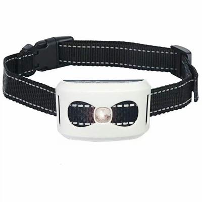 China Outdoor Smart Amazon Viable Pet GPS Anti-lost Pet Training Collar Bestselling Tracker for sale