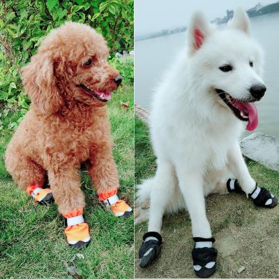 China Viable Professional Manufacturer Sock Pets Pets Wholesale Dog Cat Shoes for sale