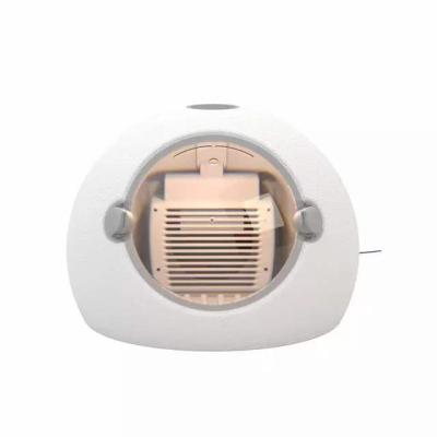 China Viable Automatic Pet Drying Oven Professional Pet Intelligent Dryer Dog Cat Hair Blowing Box Pet Oven for sale