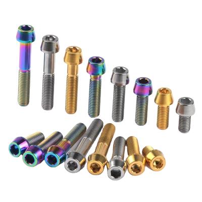 China Strong Hardness Titanium Alloy Ti6Al4V Tapered Head Titanium Screw Titanium Bolt for sale