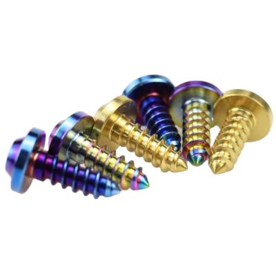 China Factory Supply Strong Hardness Titanium Torx Self Trapping Screws for sale