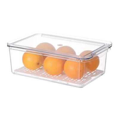 China Transparent Kitchen Storage Box Pet Food Draining Crisper Wardrobe Drawer Plastic Storage Box for sale