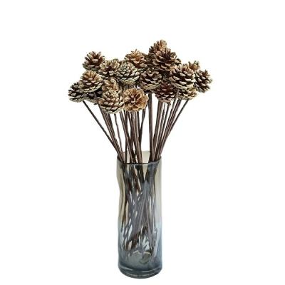 China Natural Immortal Flower Dried Flower Nature Art Dried Pine Cones Delicate Home Decorations for sale