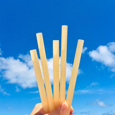 China Disposable PLA Compostable biodegradable Coffee ground Green tea Black tea Bamboo bagasse Sugarcane straws for sale