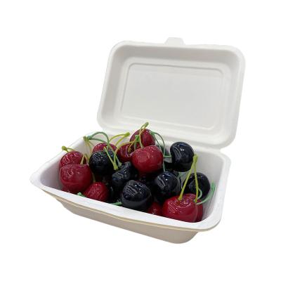 China Disposable Green Olive Sugar Cane Biodegradable Tableware Take Out Clamshell Food Box for sale