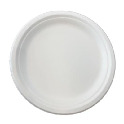 China Compostable 9 100% / 10 Inch Paper Plates, Natural Disposable Bagasse Dish, Heavy Duty Eco-Friendly Tray for sale