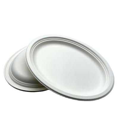 China Disposable Degradable Tableware Sets Disposable Tableware 10 Inch Oval Sugarcane Dish Natural/White Pulp Tableware for sale