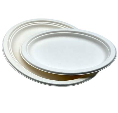 China Disposable Container Disposable Biodegradable Tableware Food Bagasse Tableware Eco Friendly Product for sale