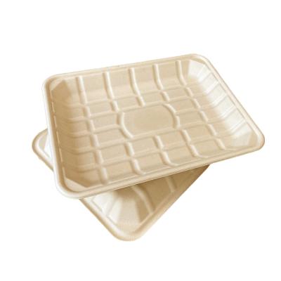 China Morden Luxury Hot-selling Customized Biodegradable Rectangle Bagasse Pulp Meat Picnic Tray for sale