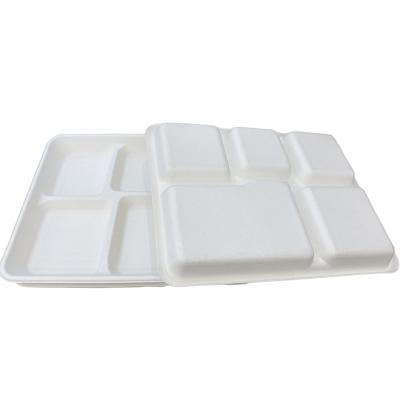 China Multiple 5 Compartment Biodegradable Eco Food Packaging Bagasse Disposable Quick Tray for sale