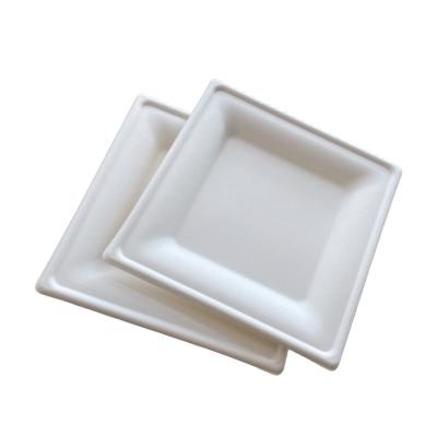 China Water and Oil Make Eco Choice Bio Resistant Microwavable Compostable Fiber Square Paper Pulp Disposable Sugarcane/Bagasse Plates for sale