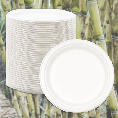 China Eco Friendly Compostable Disposable Lunch Tray Container Sugar Cane Pulp Bagasse Free Samples Biodegradable Disposable Dish for sale