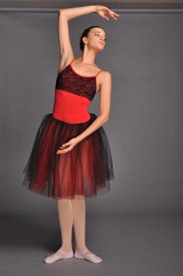 China Adult Stage Performance Ballet Dance Tutu Skirt for sale