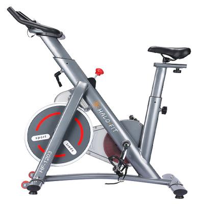 China Home Use Guaranteed Quality Home Gym Belt Drive Exercise Bike Silent Spin Bike for sale