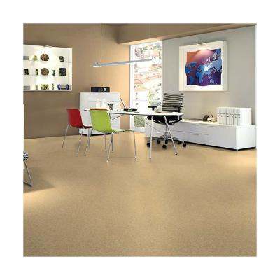 China Modern Flame Retardant Antimicrobial Tiles 60x60 Homogeneous PVC Matt Vinyl Flooring Roll For Lab for sale