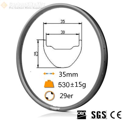 China Lightweight Carbon Carbon Bike Kits Down Hill 25mm Rims Carbon mtb 29 for sale