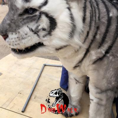 China Dino0776 Theme Park Amusement Park High Quality Life Size Realistic White Tiger Costume For Sale for sale