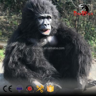 China Theme park Dino 1032 Hot Selling Realistic Gorilla Walking Animatronic Costume for sale