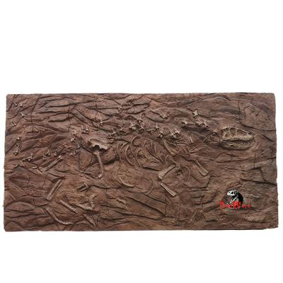 China Exhibits in the exterior & Indoor Product Dino00924 Kids Digging Dinosaur Fossil for sale