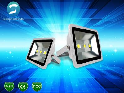 China High Lumens 50W Outdoor LED Flood Lights COB Waterproof IP65 For Square Park for sale