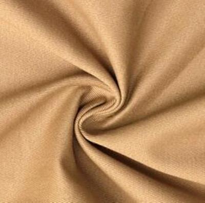 China Newest organic design textile extra thick oblique tencel fabric for sale