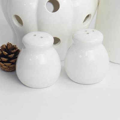 China Viable Wholesale Small White Porcelain Cute Salt and Pepper Shakers Set for Kitchen Table or Countertop for sale