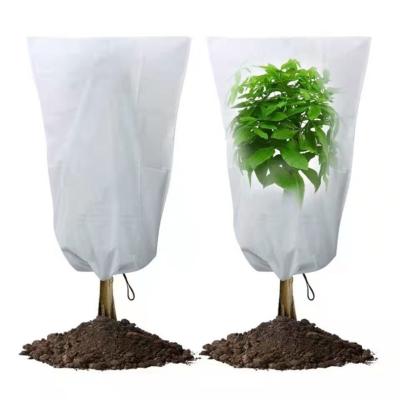 China Stable Structure PP Agriculture Nonwoven Plant Cover Seeds Growing Bag for sale