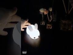 rabbit light