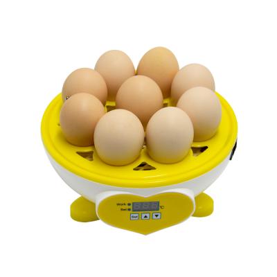 China Multifunctional Skyplant Hatching Automatic Egg Incubator Usable For Eggs for sale