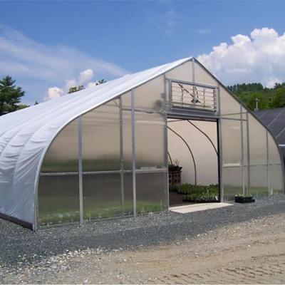 China HIGH PLASTIC GREENHOUSE Low Cost Easily Assembled TUNNEL Agricultural Greenhouses for sale