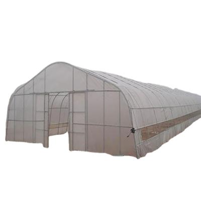 China Easily Assembled And Economic Large Size High Tunnel Agricultural Greenhouse For Tomato for sale