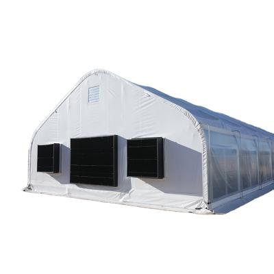 China Single Tunnel Large Greenhouse Plastic Agricultural PE Flim Easily Assembled And Economical for sale