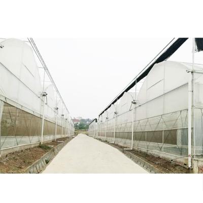 China PE Multi-span Plastic Film System Hydroponic Greenhouse For Vegetable Garden for sale