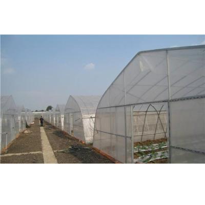 China Skyplant low cost 150 micron / 200 micron anti aging pe film greenhouse used for sale for sale