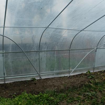 China Skyplant Anti Aging 200 Micron Pe Film Tunnel Greenhouse PE Tarpaulin for sale