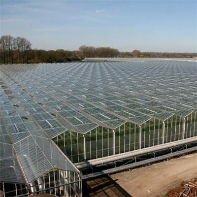 China Planting Vegetables Venlo TYPE Multi-span Tempered Glass Greenhouse For Hydroponics System for sale