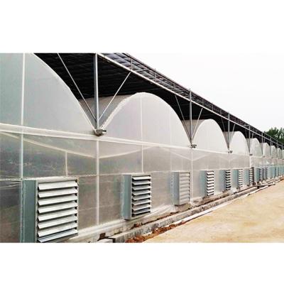 China High Quality Multi Span PC Insulation System Low Cost High Strength Multi Panel Greenhouse (Polycarbonate) for sale