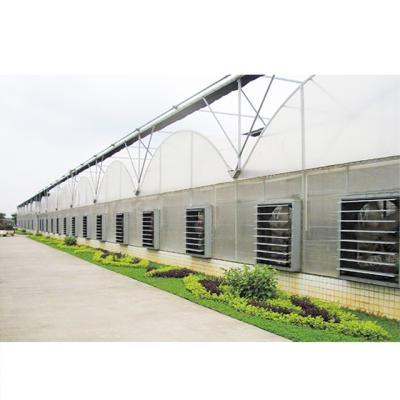 China High Quality Multi Span PC Insulation System Low Cost High Strength Multi Panel Greenhouse (Polycarbonate) for sale