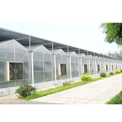 China Multi-span Stable And Beautiful Printed Circuit Board Agricultural Skyplant Greenhouse for sale