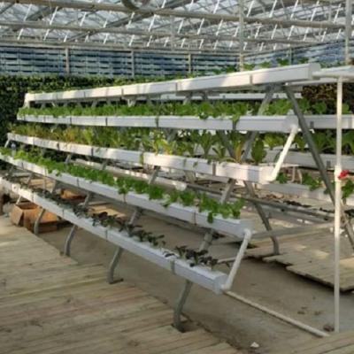 China Grow Skyplant Large NFT Hydroponic System For Industrial Hydroponics System Hydroponics System Vertical for sale